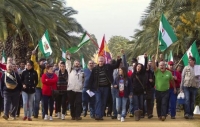 Jornaleros_ocupan