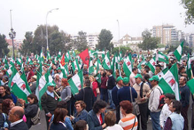 foto-soc.jpg