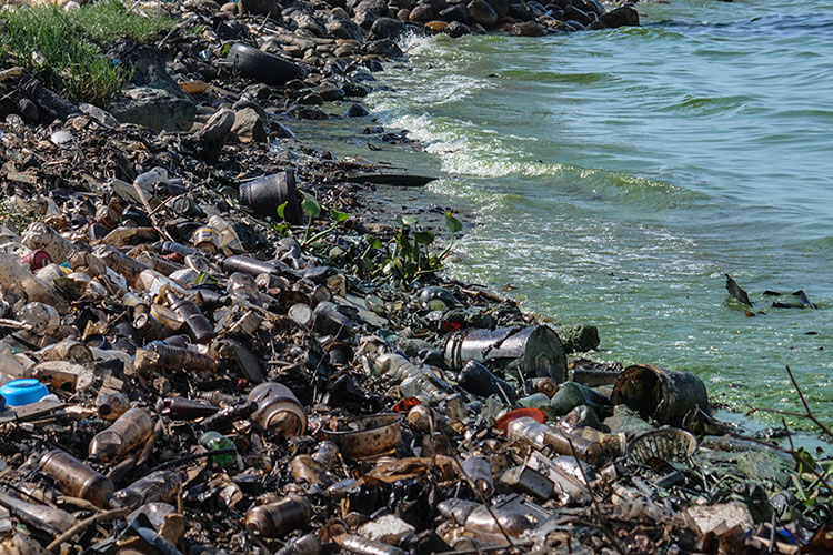 Contaminación Ambiental